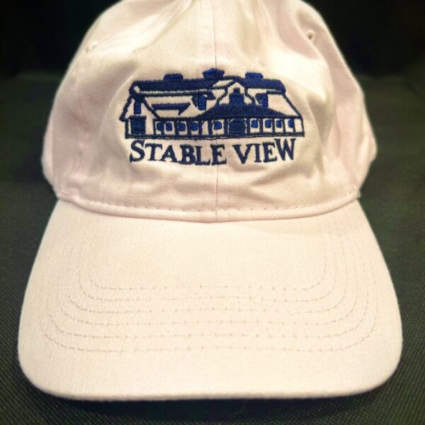 Stable View Buckle Hat
